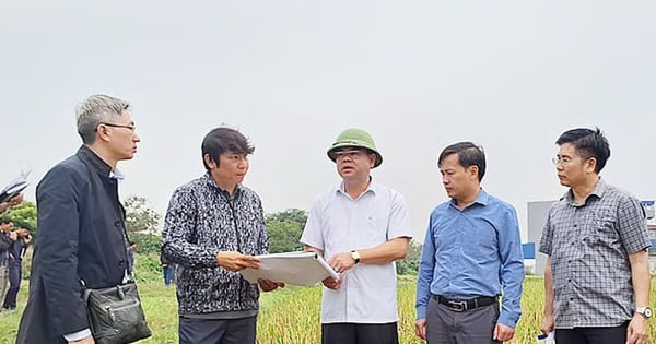 Nam Dinh entrega pilotes de limpieza del sitio y marcadores de límites de carreteras para el proyecto de la autopista CT.08