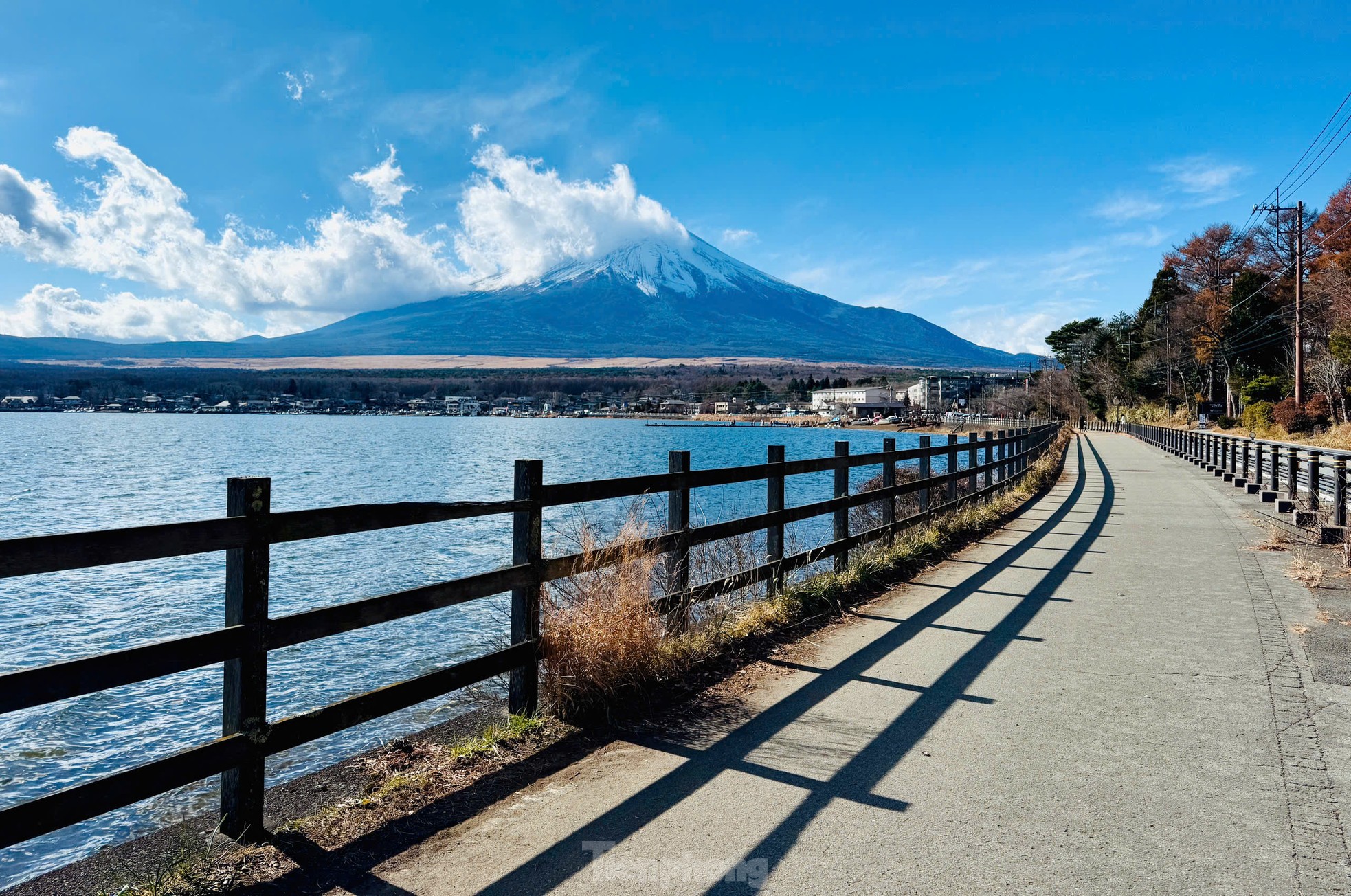 富士山麓の白鳥の湖の景色を鑑賞する写真2