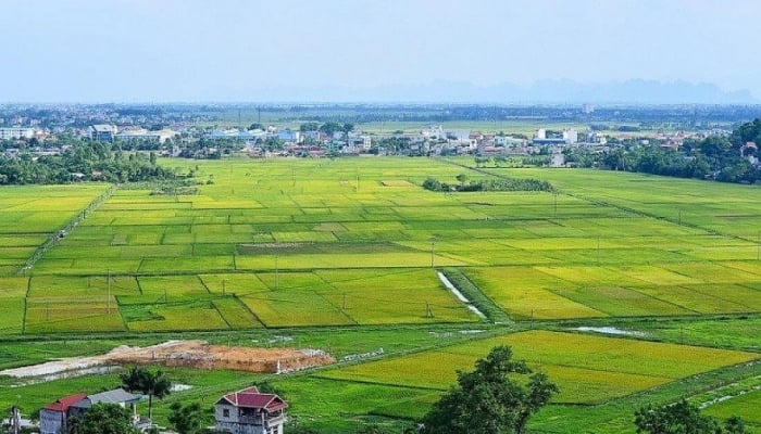 Ho-Chi-Minh-Stadt schlägt 45 Projekte zur Änderung der Nutzung von Reisanbauflächen vor