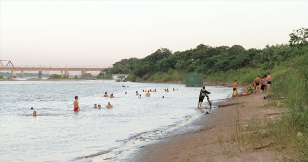 French expert offers advice for Hanoi to have forests in the city