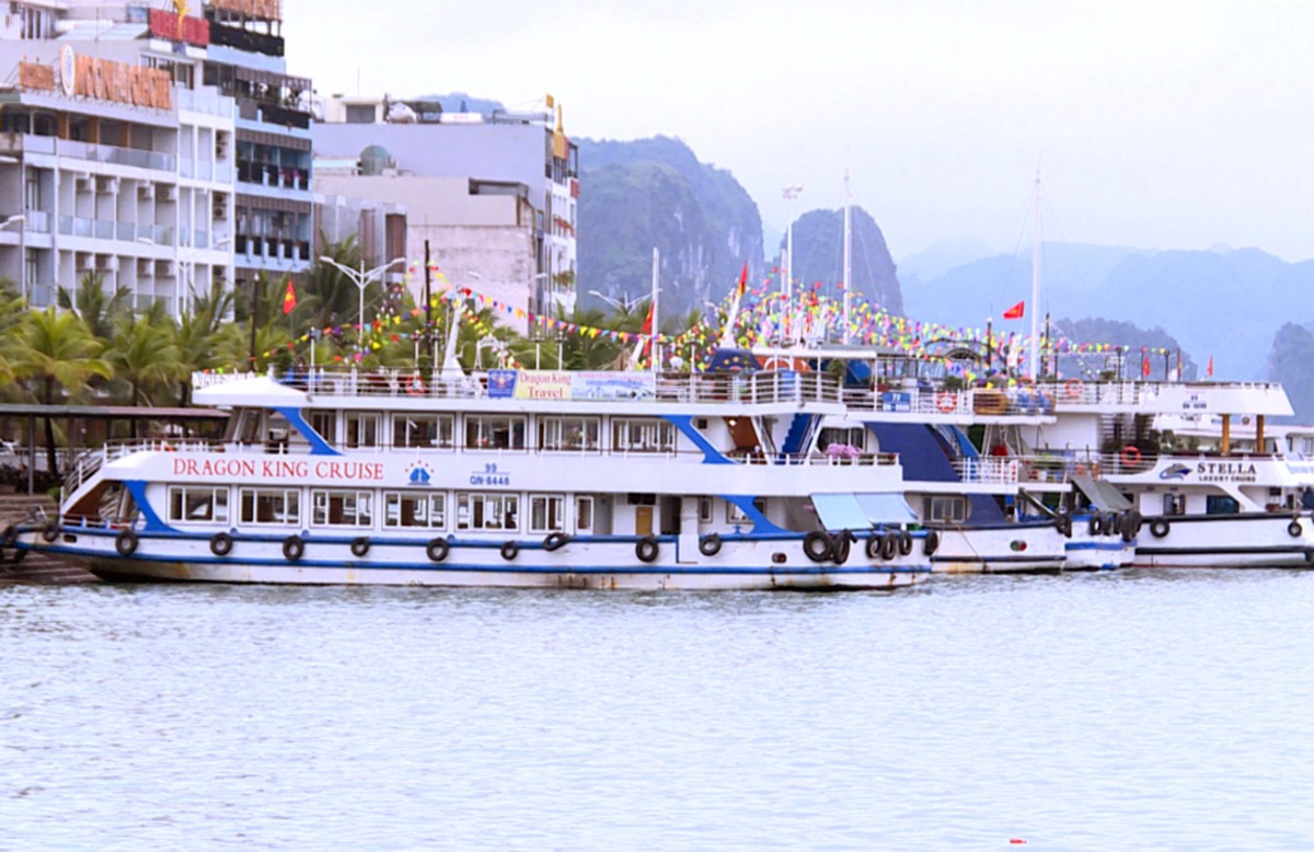 Event - Quang Ninh: No fee increase for Tuan Chau and Ha Long ports on April 1
