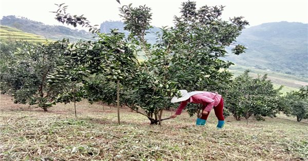 Diện mạo mới trên vùng cao Bắc Kạn