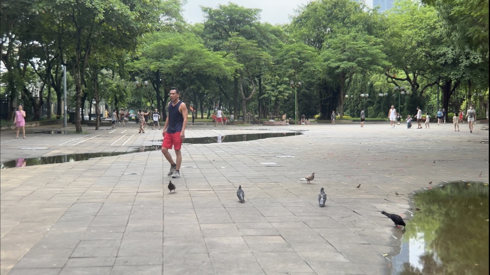 Pigeons at Nghia Do park.