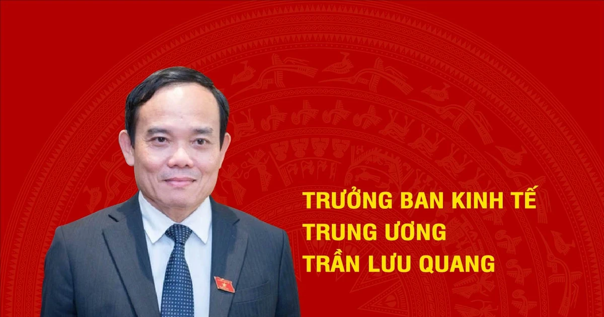 [Infografía] Biografía del nuevo jefe de la Comisión Económica Central, Tran Luu Quang