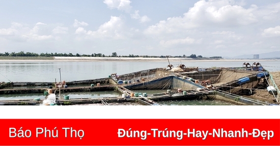 Mực nước sông giảm, người nuôi cá lồng gặp khó