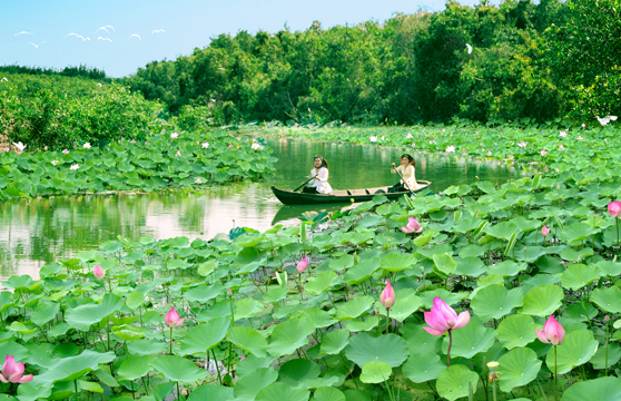 Ecoturismo, experiencia - Huella de la tierra del loto rosa