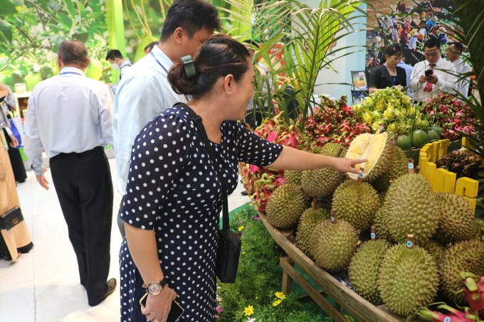 Tien-Giang-Früchte, ausgestellt am 29. August in 92 - 96 Nguyen Hue, Bezirk 1, Ho-Chi-Minh-Stadt. Foto: ITPC