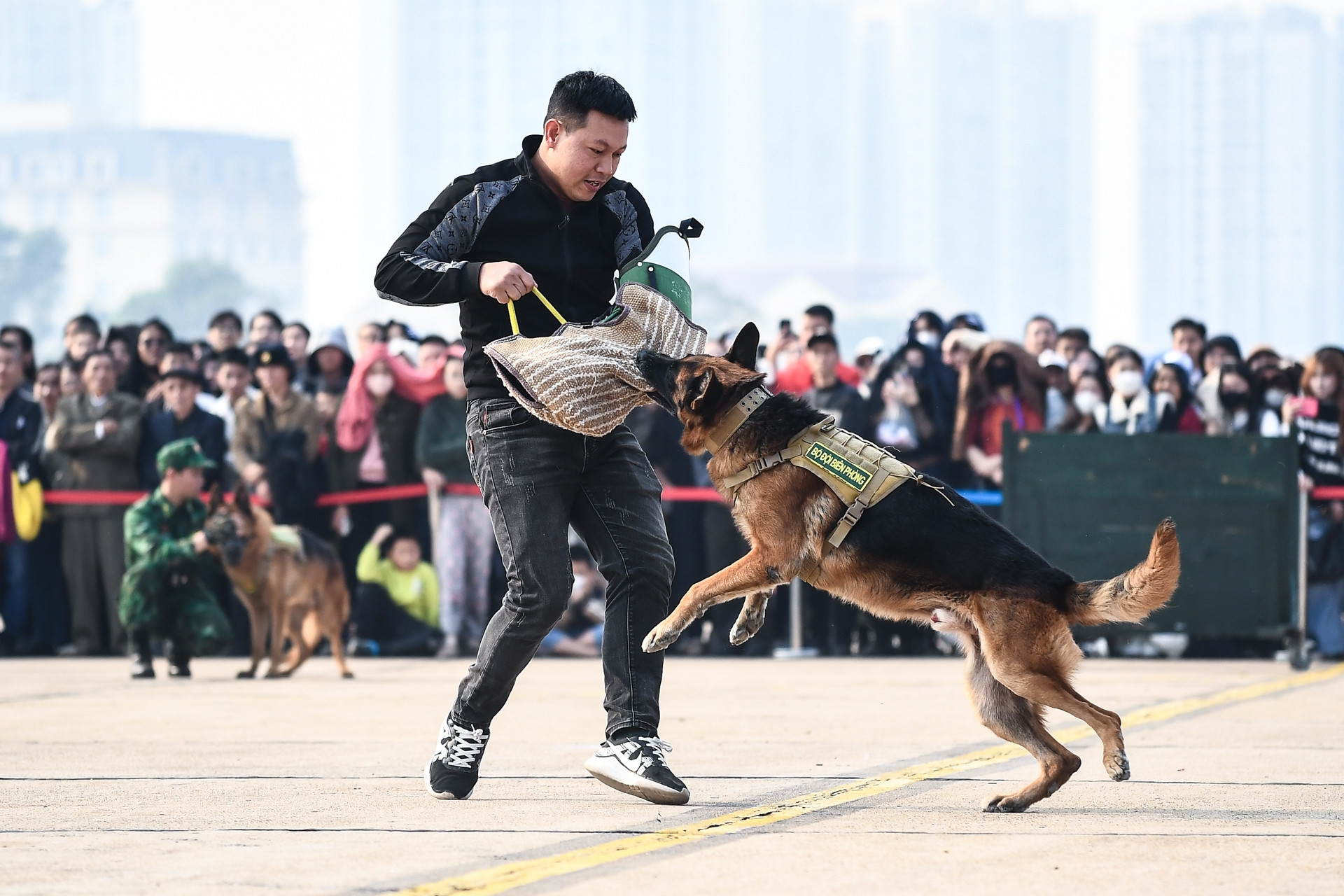 Los perros policías superan el fuego y abaten a los criminales, miles de personas admiran en la Exposición de Defensa