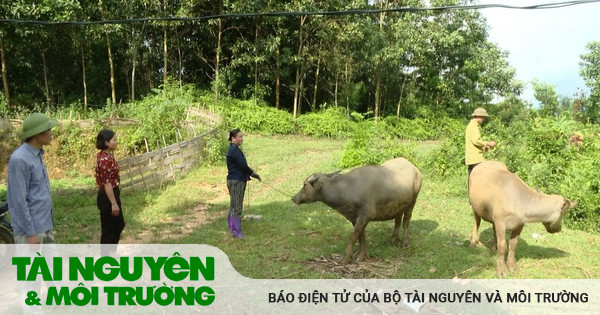 Đưa nhiều chương trình vì mục tiêu giảm nghèo tới gần người dân