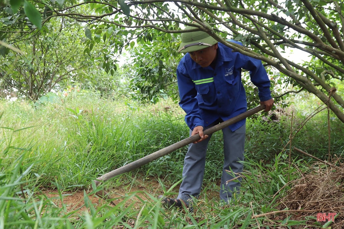 Farmer Vu Quang digs pond to store water to prevent drought for oranges