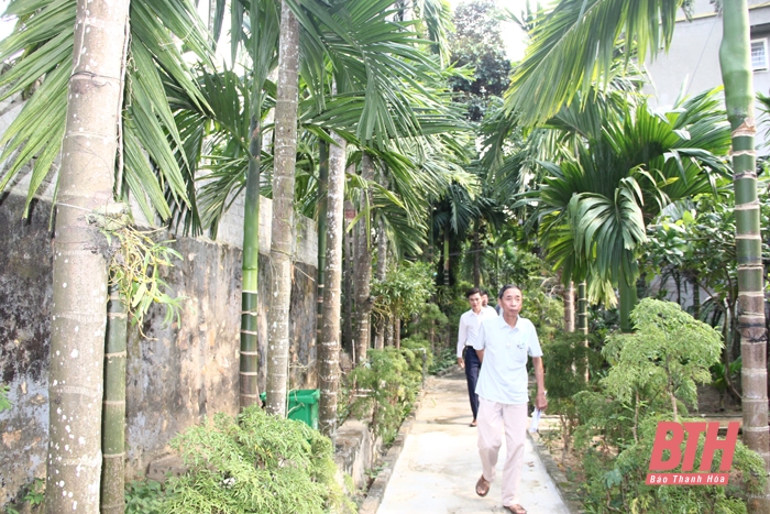 Ökonomische Gärten schaffen ökologische Landschaften aus Areca-Bäumen
