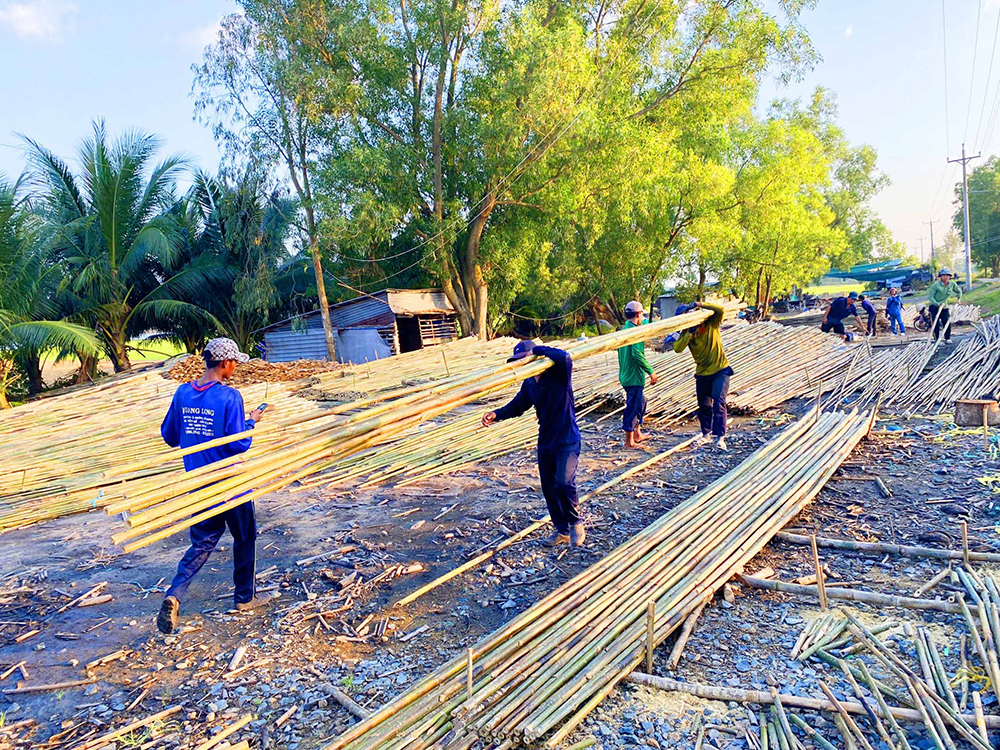 Chợ làng lạ lùng ở An Giang, trên bến dưới thuyền, tấp nập cả năm chỉ bán cây tầm vông thẳng tuột- Ảnh 6.