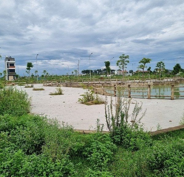 住民が少ないにもかかわらず、ドンソン地区は依然として「プロジェクト用地の販売」に熱心に取り組んでいる。