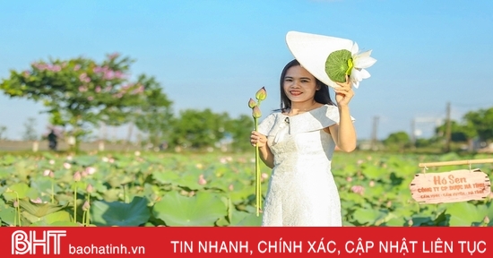 Ngắm hồ sen dược liệu của Nhà máy Đông dược Hà Tĩnh