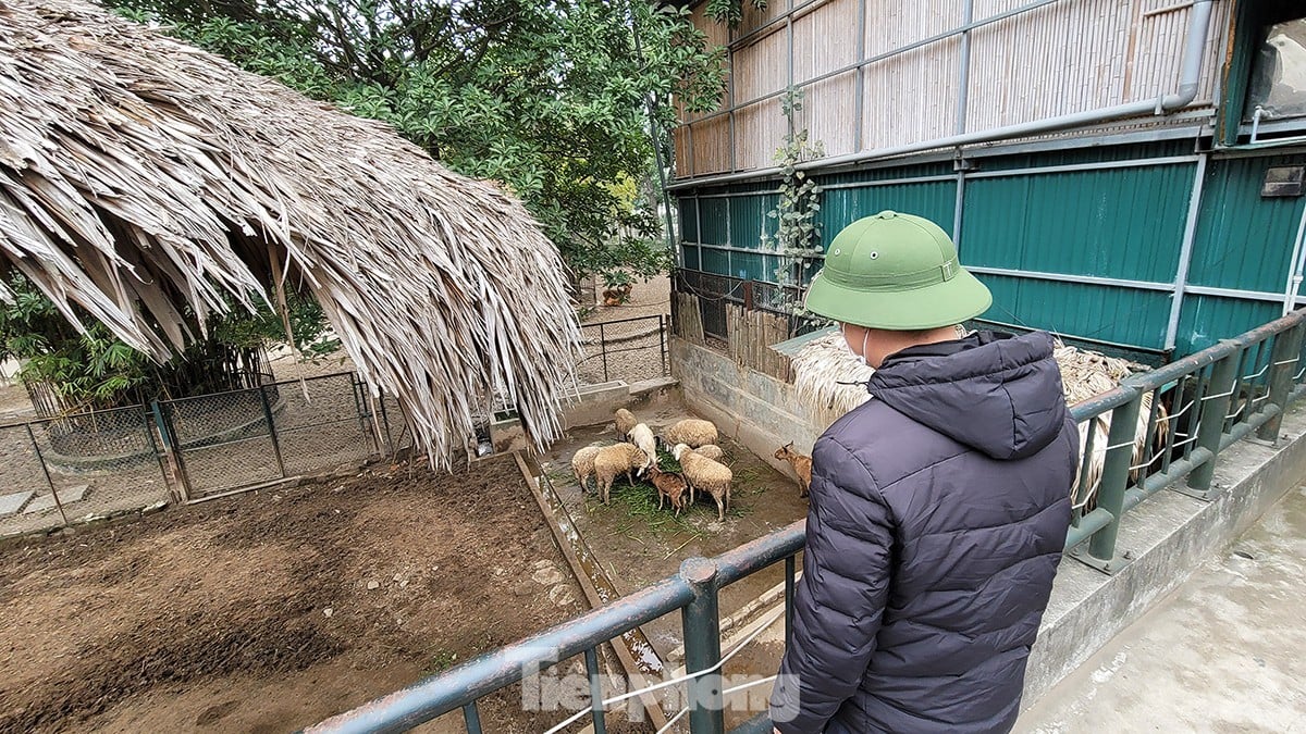 하노이의 느리게 진행되는 공원의 현재 상황 사진 6