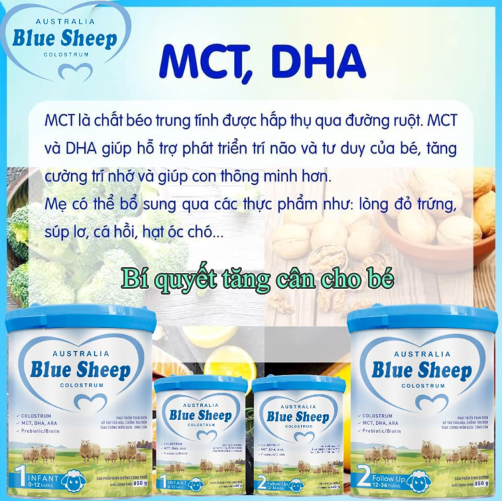 Blue Sheep Colostrum – Bổ sung MCT giúp bé tăng cân hiệu quả - 4