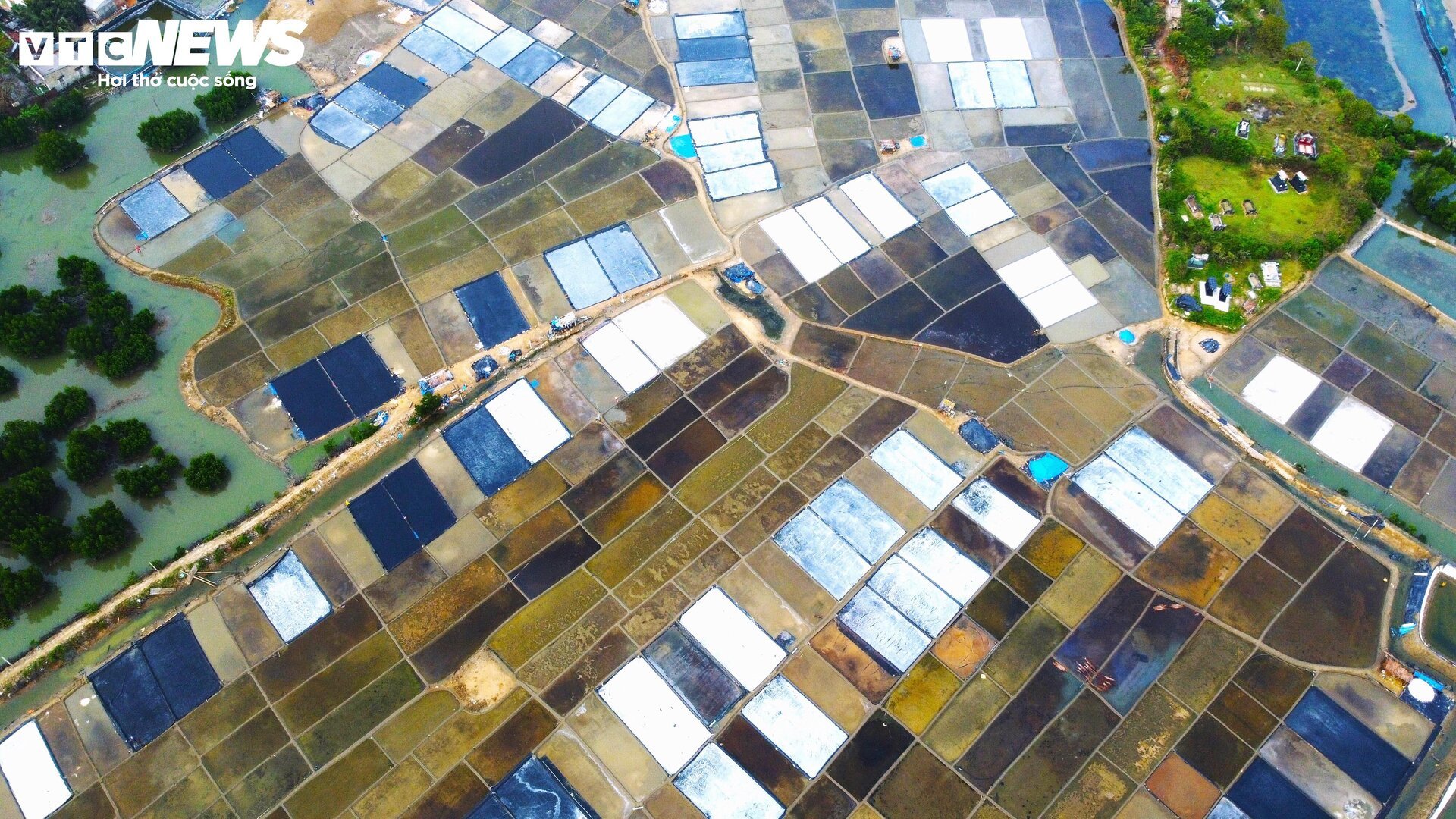 People 'carrying the sun' on the white salt fields in Binh Dinh - 10