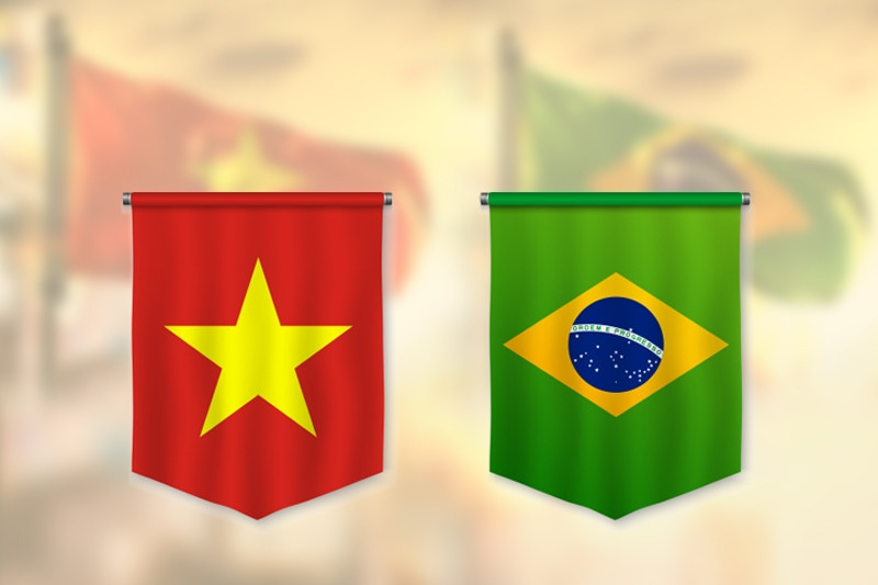 Vietnam - Brazil bilateral relations develop well