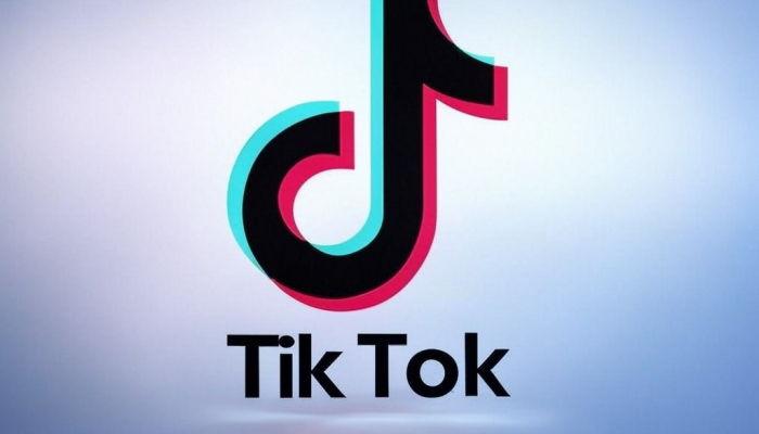 Trump may delay TikTok ban for 90 days after taking office