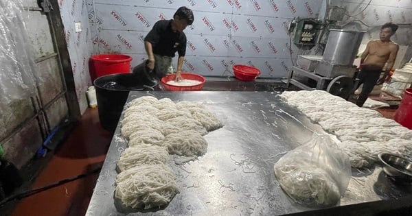 食品の安全性を確保していない春雨・麺類製造施設の検出