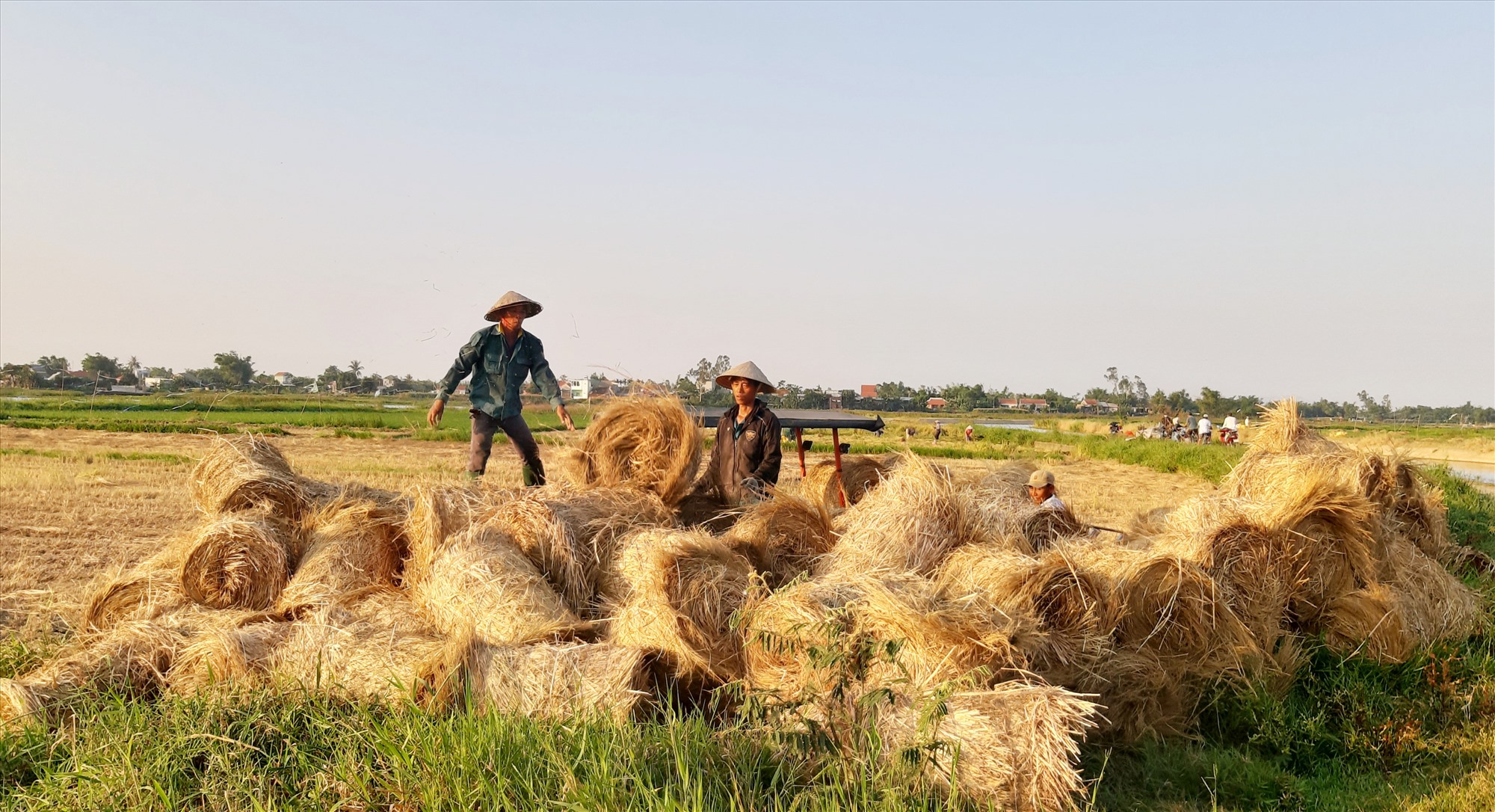 En muchos campos de la provincia existen varios puntos de recogida de paja. Foto: N.S.
