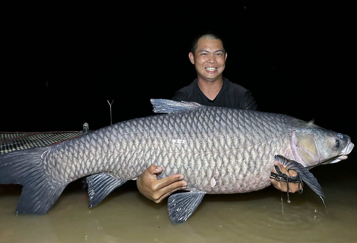 ការ​ប្រមាញ់​សត្វ​ចម្លែក​សមុទ្រ​នៅ​ទំនប់​ខេ​ឡា​