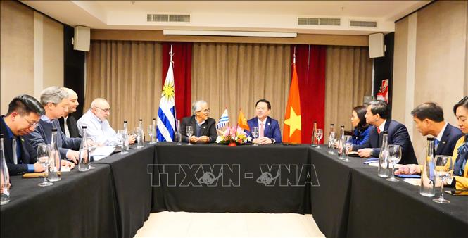 Strengthening and enhancing Vietnam - Argentina relations -0