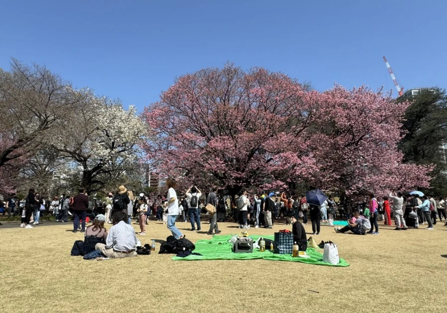 L'industrie touristique japonaise est aux prises avec un « mal de tête » alors que les touristes deviennent de plus en plus économes