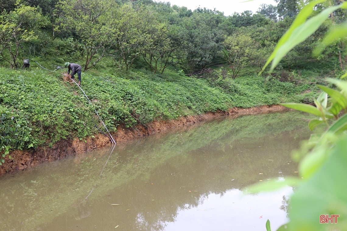 Farmer Vu Quang digs pond to store water to prevent drought for oranges