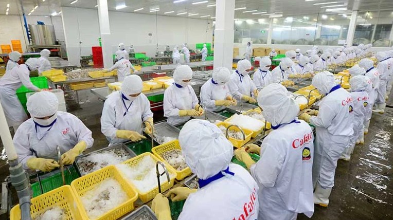 CPTPP is the market group with the second largest growth rate of Vietnam's seafood exports.