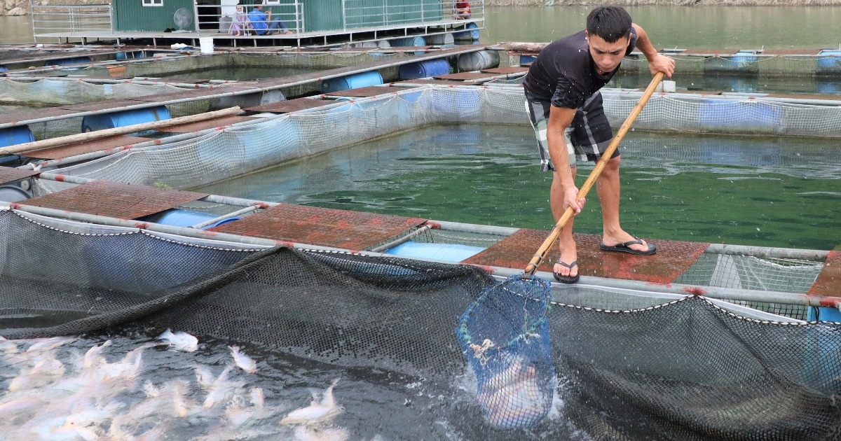 Vivir a la deriva en medio de un lago hidroeléctrico