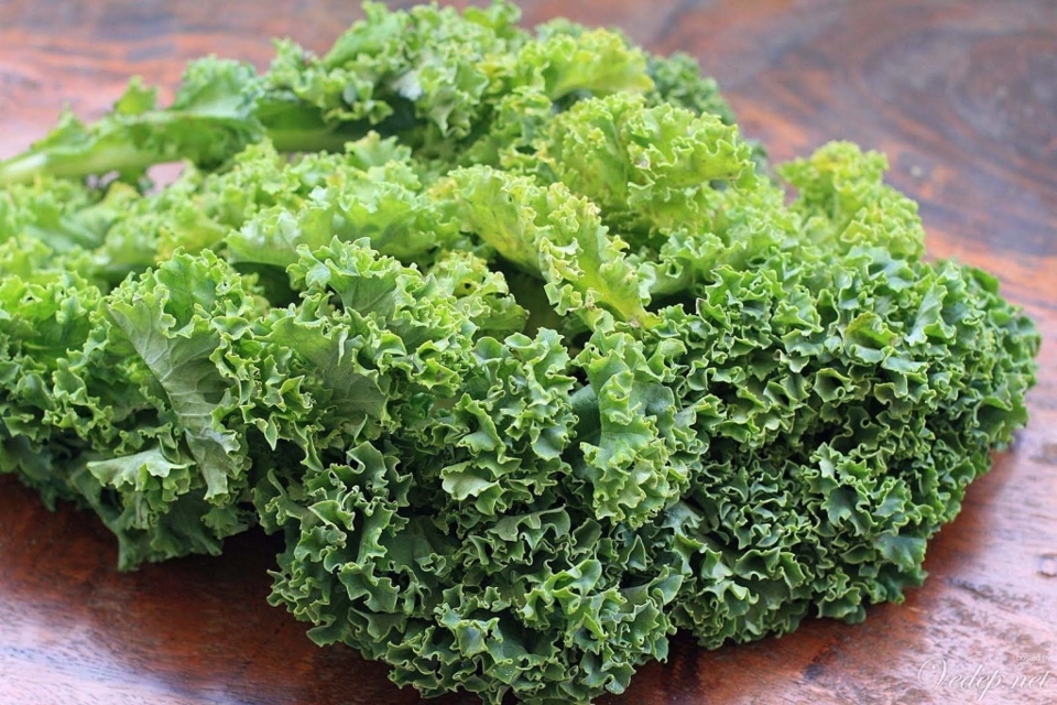 Le chou frisé contient deux fois plus de calcium que le lait et cinq fois plus que les œufs.