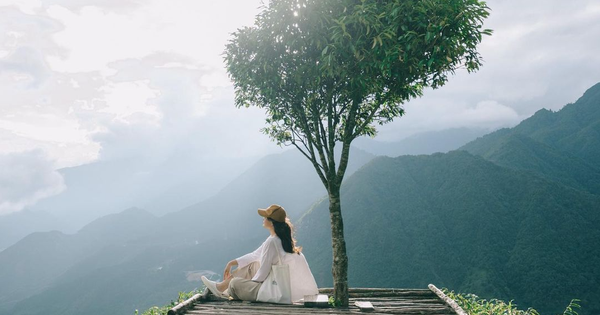 Check-in at lonely trees in Vietnam