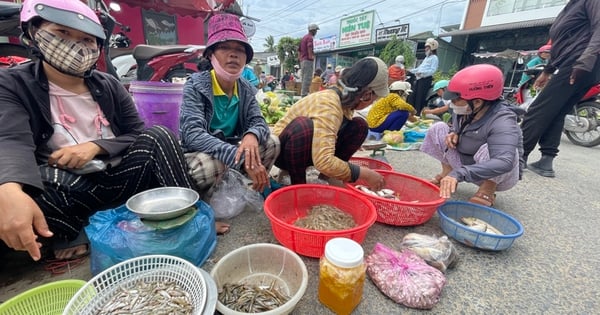 En un mercado vespertino en Gia Lai, vimos gente vendiendo verduras silvestres, camarones de río y peces de arroyo por todas partes, a precios sorprendentemente baratos.