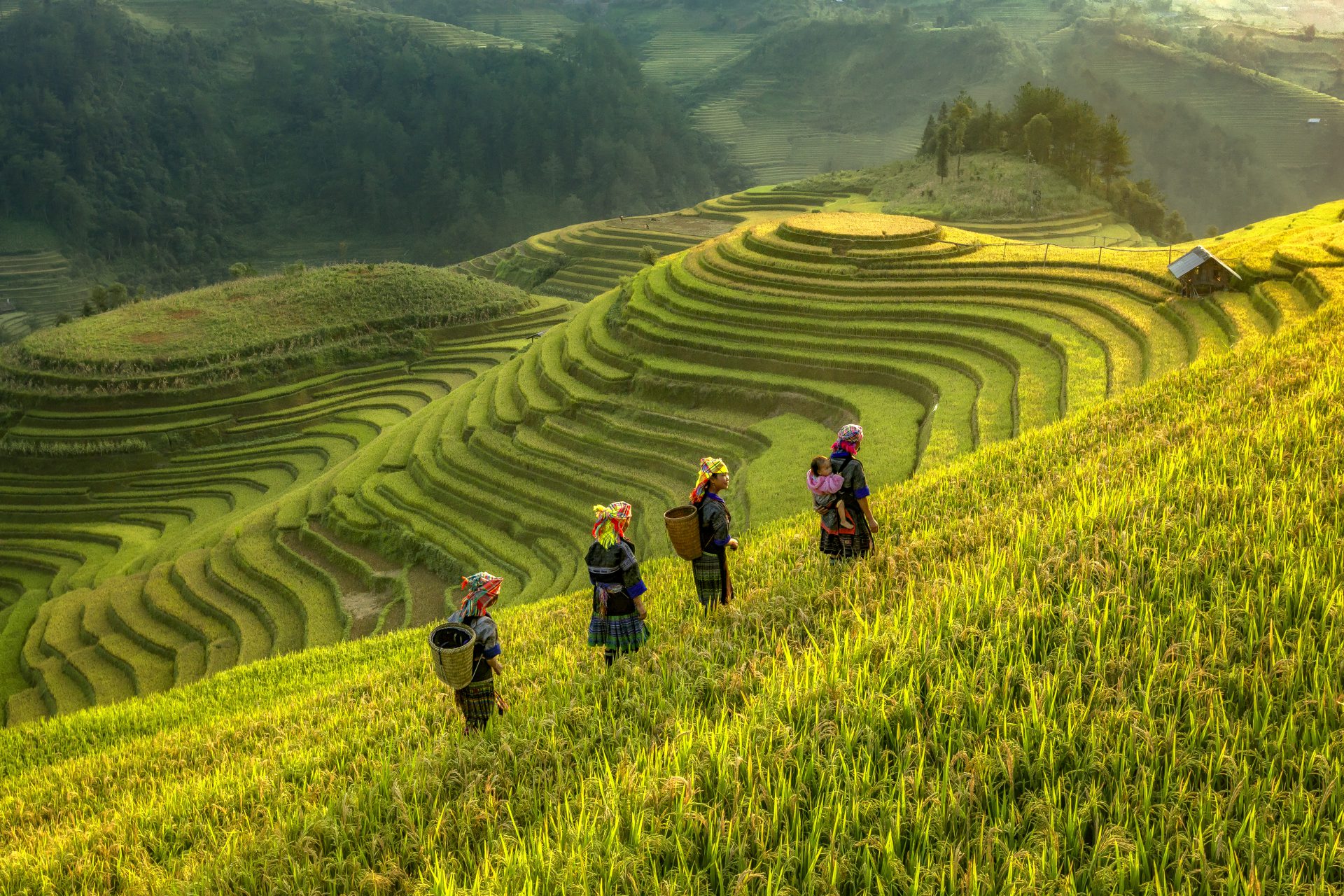 Du lịch nông nghiệp, nông thôn đợi thời cơ 'cất cánh'