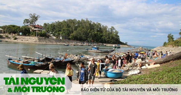 Efficacité du modèle de cogestion de la conservation marine à Cu Lao Cham