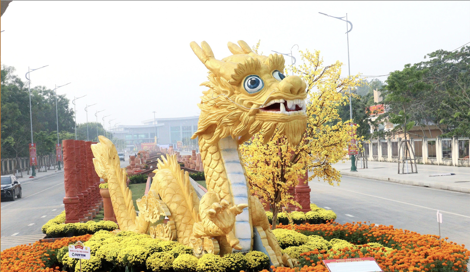 Estableciendo el récord de 'La carretera de cerámica roja y flores más larga de Vietnam'