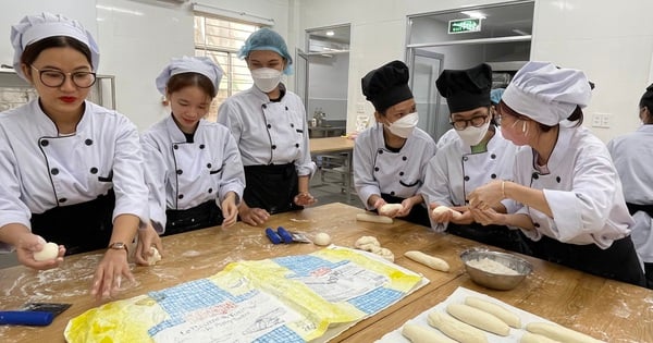 저는 일당 60달러를 버는 투어 가이드가 되어야 할까요, 아니면 월급 1,500~4,000만 VND를 버는 요리사가 되어야 할까요?