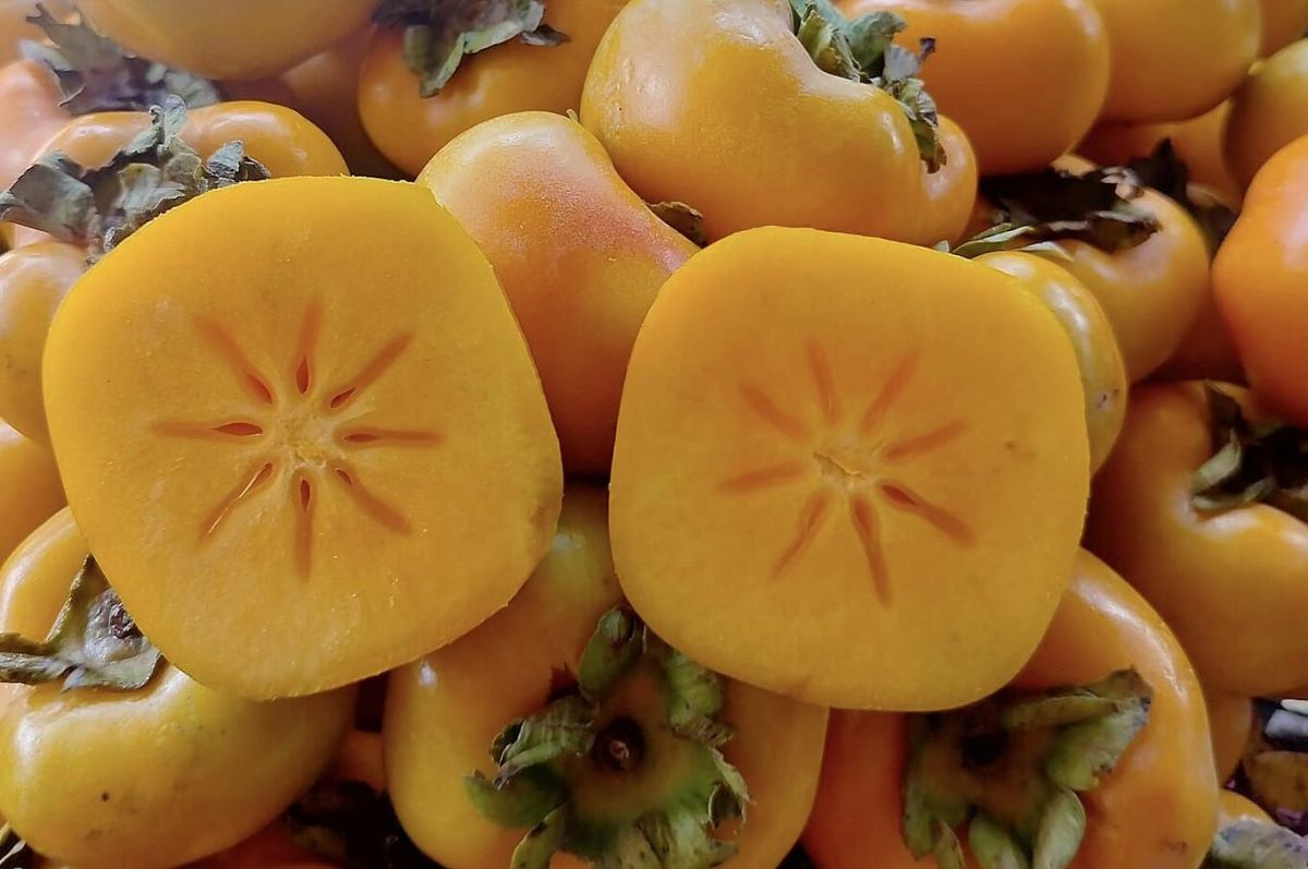 Thai crispy persimmons imported to the market for the first time, cheaper than Vietnamese goods