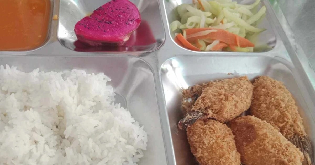 All kindergartens in District 1 publicly provide boarding meals