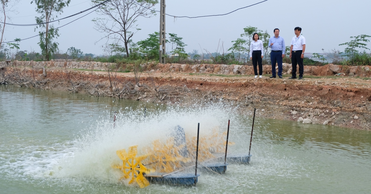 đến năm 2030, hình thành thị trường sản phẩm nông nghiệp tuần hoàn