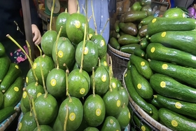 Antioxidative Lebensmittel sind gut für die Schönheit