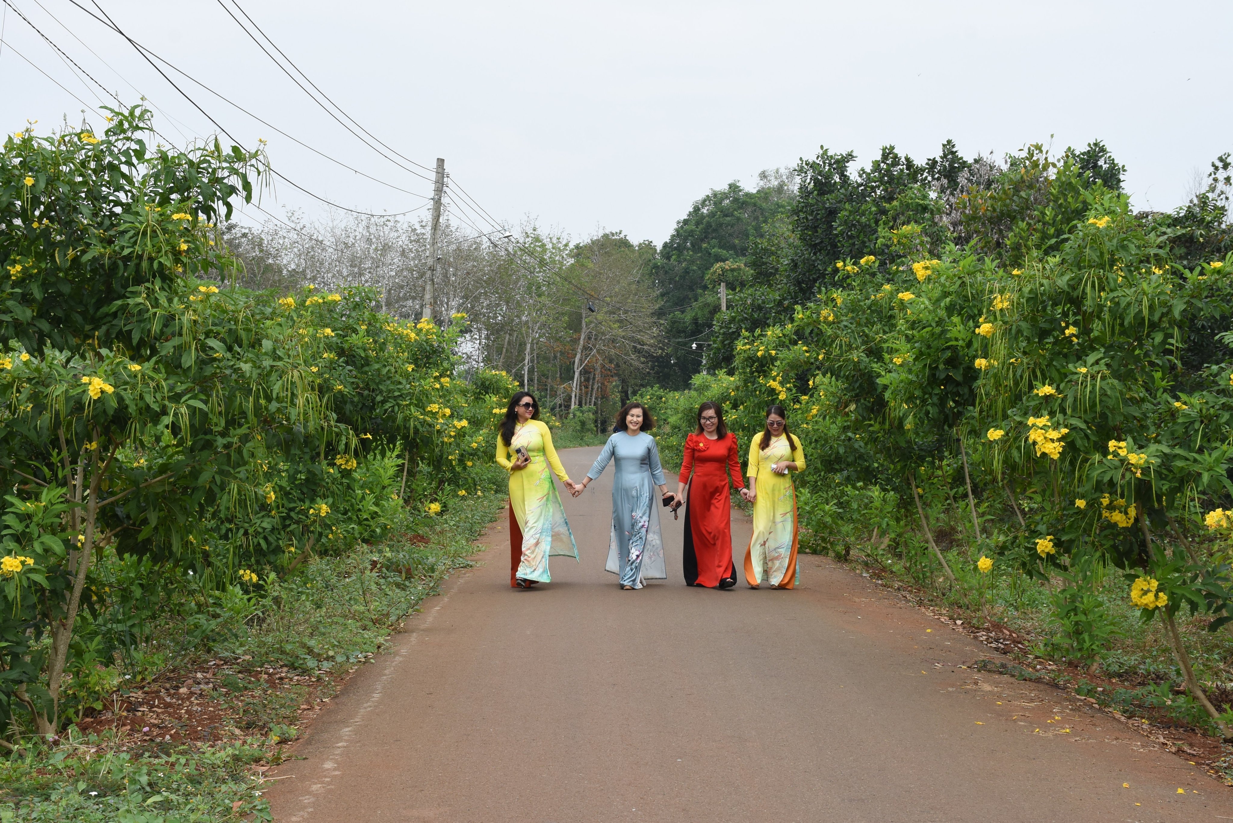 The policy of planting flowers on 50% of residential roads in the district is a breakthrough of Chau Duc district in 2023.