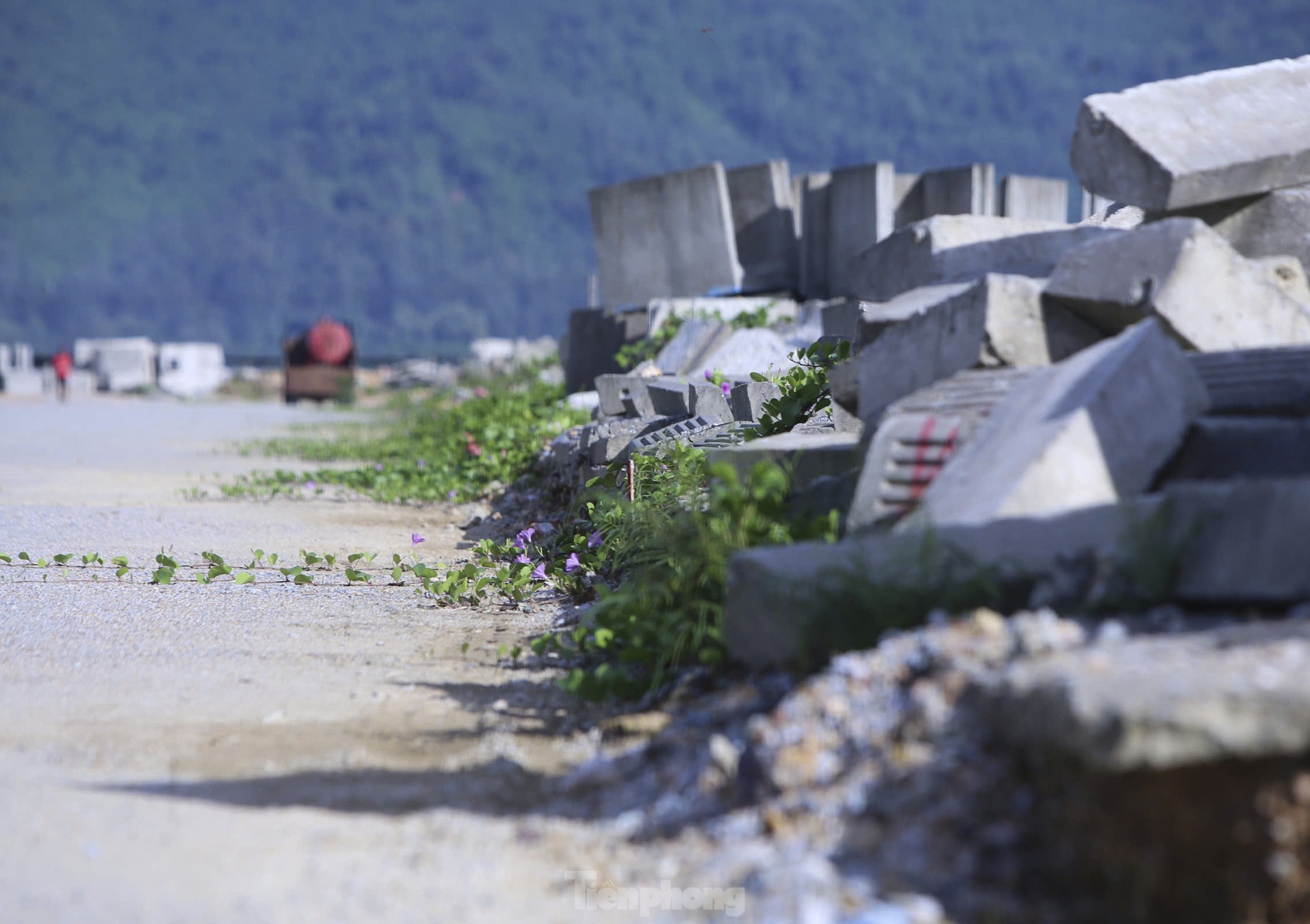 'Calling for help' for a series of projects with no completion date in Ha Tinh photo 10