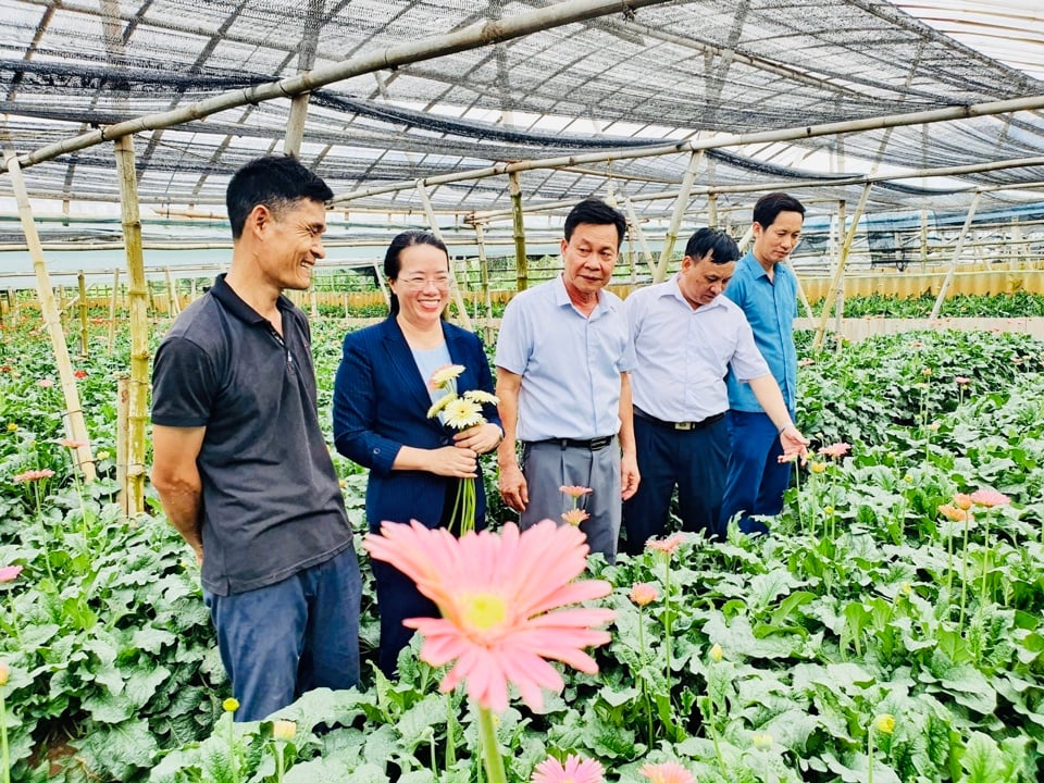 Mô hình trồng hoa tại xã Đồng Tháp, huyện Đan Phượng (Hà Nội) cho hiệu quả kinh tế cao. Ảnh: Ngọc Ánh