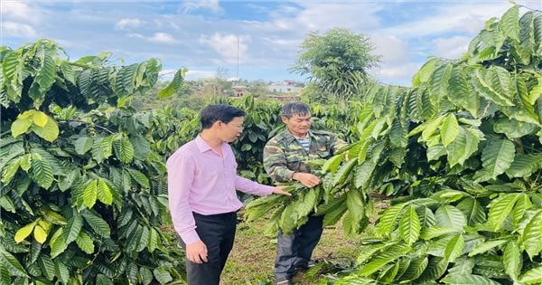 ដើមទុនគោលនយោបាយជួយប្រជាជន Dak Nong កាត់បន្ថយភាពក្រីក្រយ៉ាងឆាប់រហ័ស និងប្រកបដោយនិរន្តរភាព