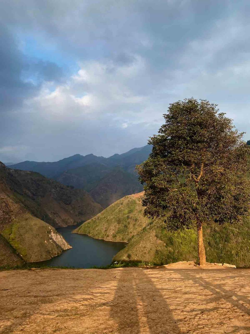 นักท่องเที่ยวจำนวนมากที่มาเกาะตาเซัวมักจะไปที่ Lonely Tree เพื่อถ่ายรูปและเก็บช่วงเวลาพิเศษเอาไว้ ทิวทัศน์ที่เปล่าเปลี่ยวและเปล่าเปลี่ยวของต้นไม้ที่เปล่าเปลี่ยวมักทำให้พวกเขารู้สึกถึงความนิ่งสงบและความเงียบสงบของธรรมชาติ ความพิเศษของ Lonely Tree อยู่ที่การที่มันดำรงอยู่โดยอิสระ โดยไม่มีต้นไม้ต้นอื่นมาสร้างภูมิทัศน์ที่สมบูรณ์