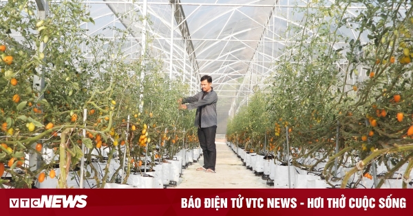 Tay Ninh : L'agriculture de haute technologie est le pilier de l'économie et de l'intégration