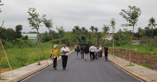 Nhiều địa phương 'cởi trói' cho phân lô tách thửa