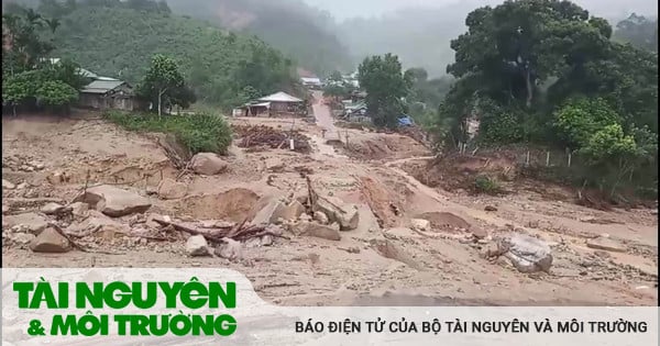 大雨、洪水、土砂崩れによる被害に積極的に対応し、被害を最小限に抑えます。